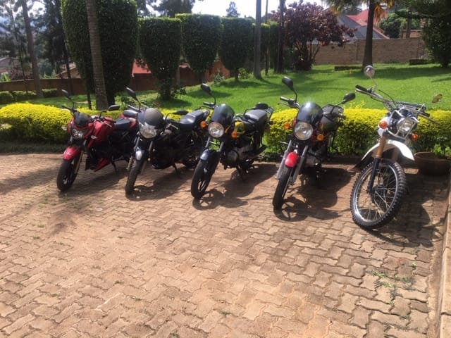 All exp.Scooter